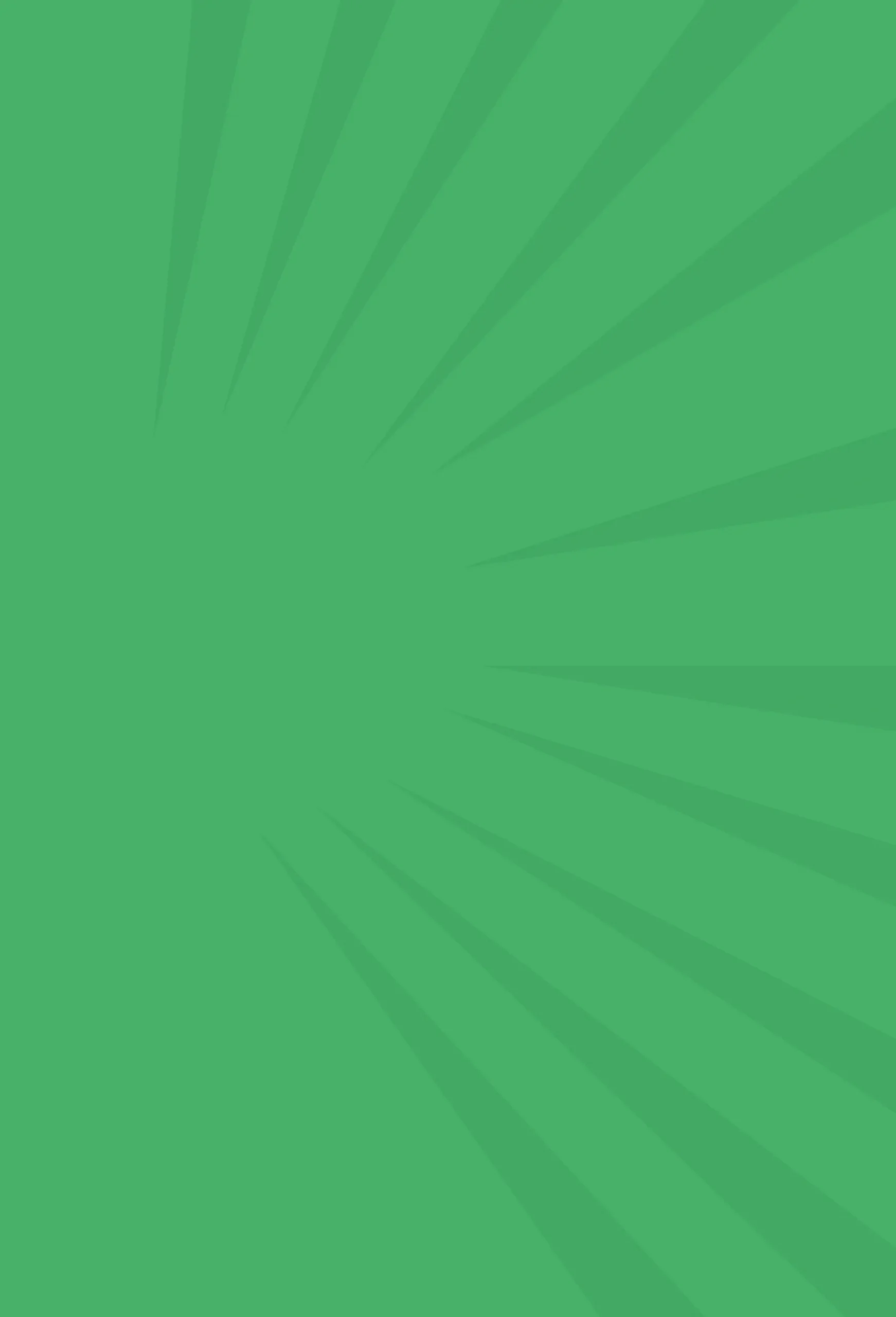 search engine optimization in tampa