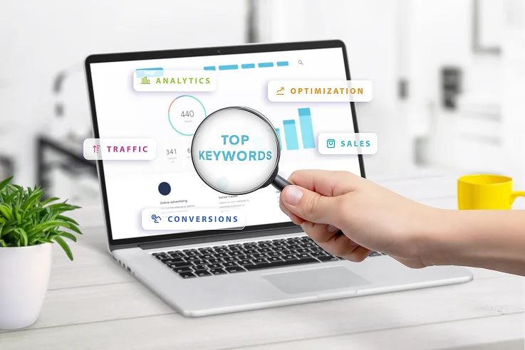 Thekashimedia|SEO